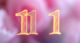 new love beginnings predicted