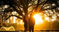 synchronicities signal twin flame