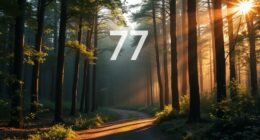 angel number 77 significance