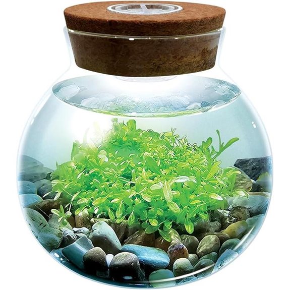 WaterPlants Aquascape Terrarium Kit with LED Light