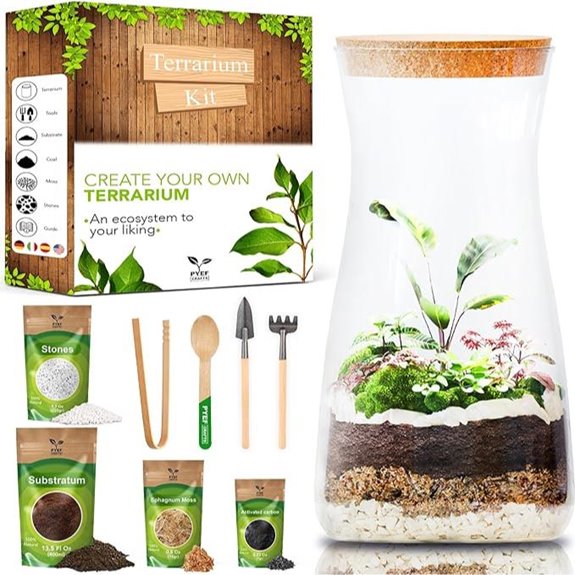 DIY Terrarium Kit with Plants Not Included