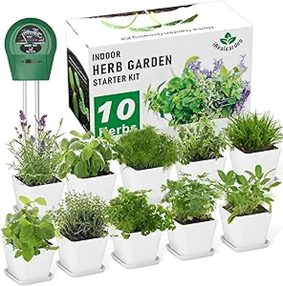 Indoor Herb Garden Kit with Seeds Soil & Tools