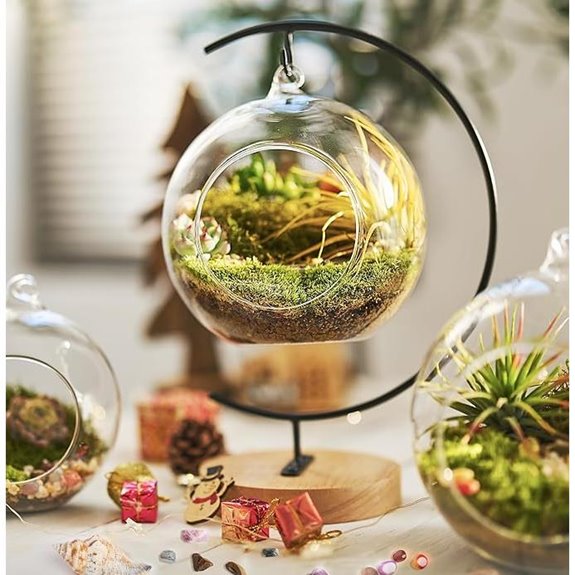 15-Piece Terrarium Kit with Live Moss