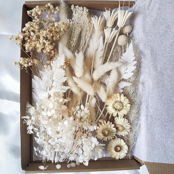 DIY Dried Flowers Kit for Crafts and Decor