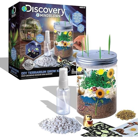 Discovery DIY Terrarium Grow Kit with Sand and Seeds