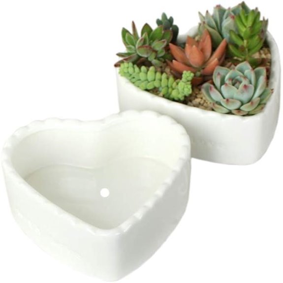 2pcs Heart-Shaped Pure White Ceramic Cactus Succulent Plant Pots.