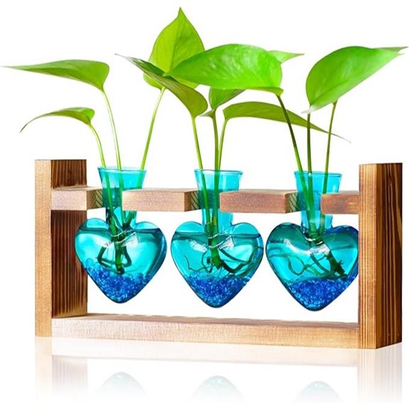 Nacome Heart-Shaped Glass Plant Propagation Station