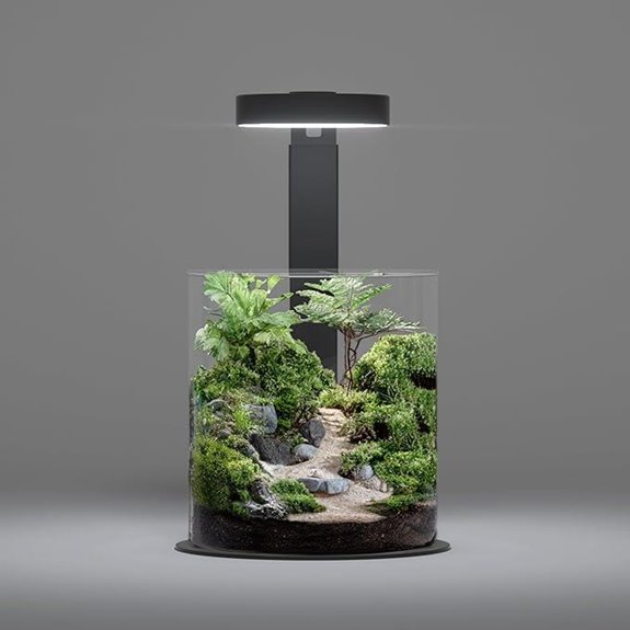 LANDEN Miniature Terrarium Glass Kit with LED & Decor