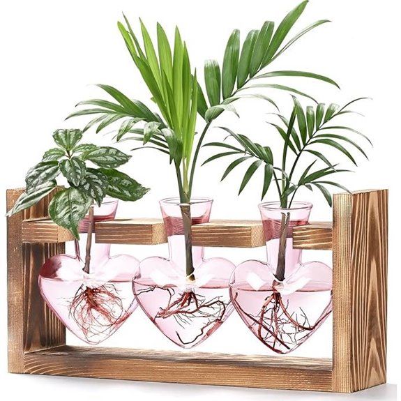 Lifecapido Heart-Shaped Plant Propagation Stations (Pink)