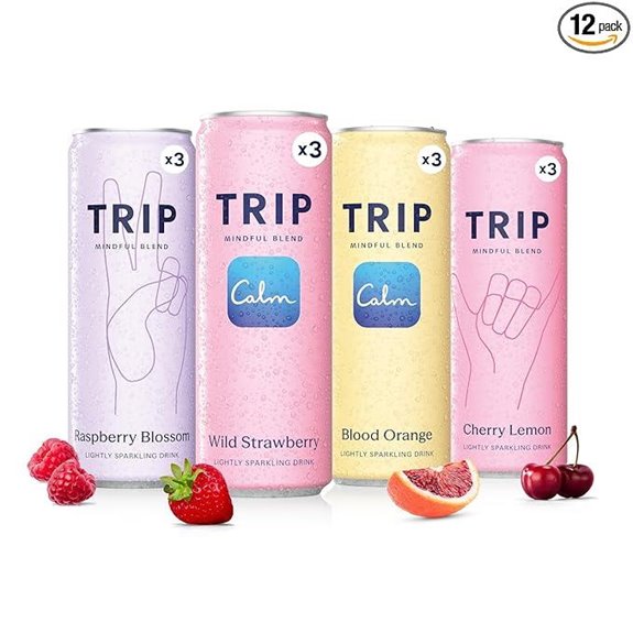 Trip Mindful Sparkling Adaptogen Seltzer Variety Pack