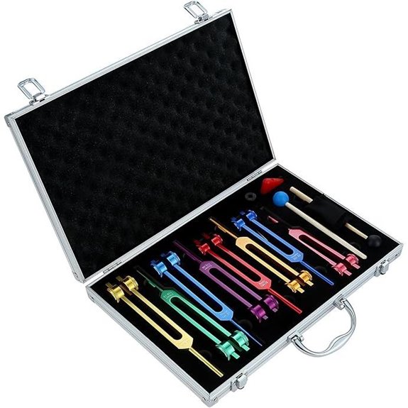 Weighted Chakra Tuning Fork Set with Accessories