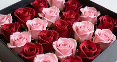 luxurious yet meaningful gift