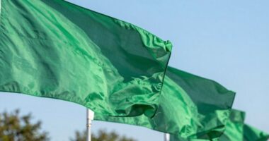 meaningful compatibility over instant attraction