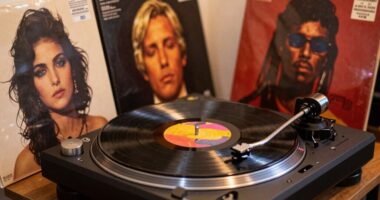 perfect couple s vinyl gift