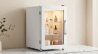popular skincare fridge gift
