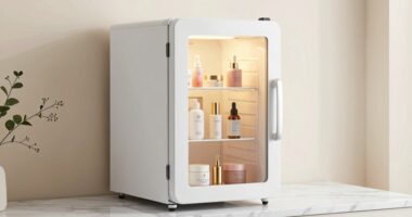 popular skincare fridge gift