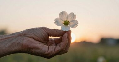 steady emotions over promises