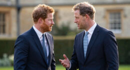 King Charles Prince Harry Meeting